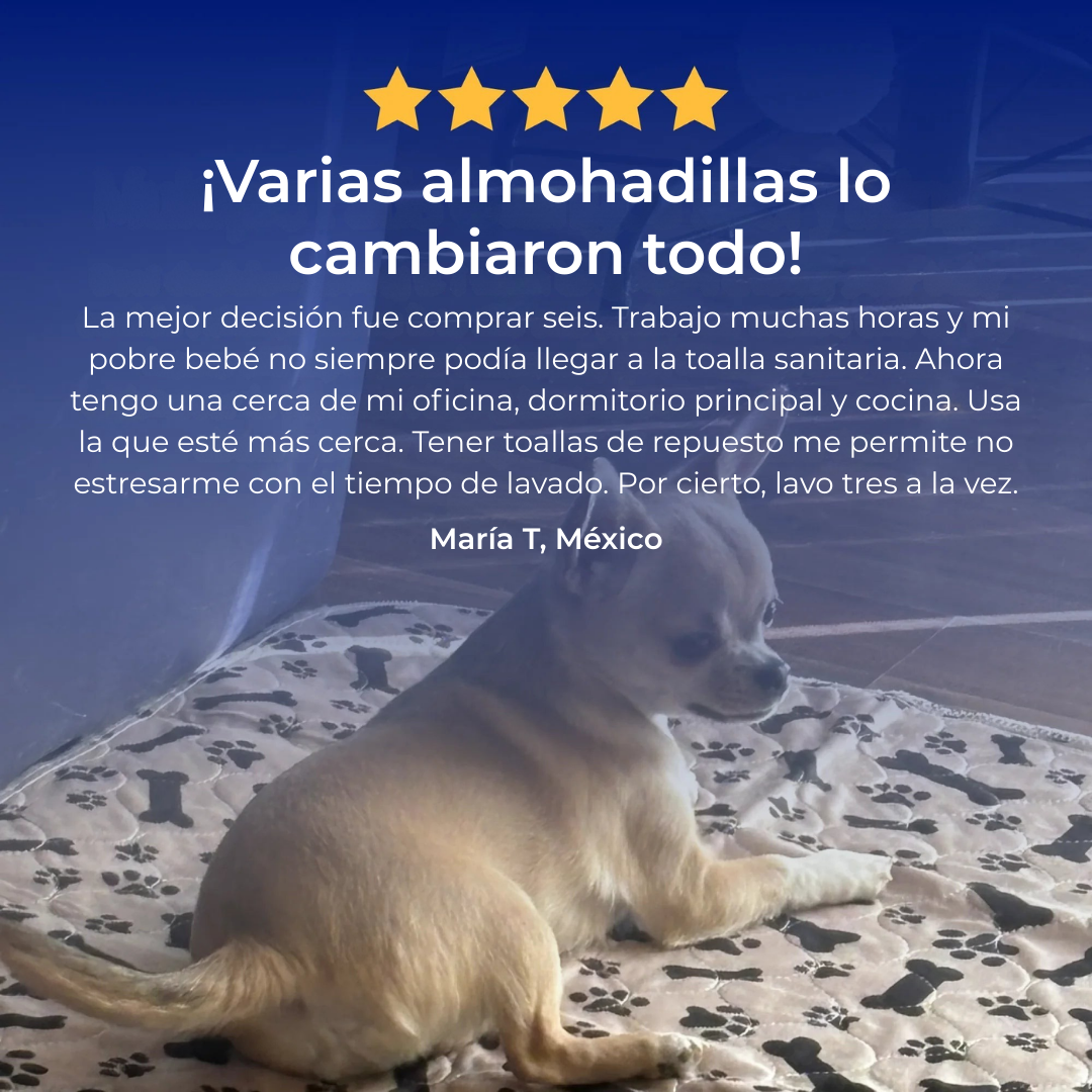 PottyPad™ - La Alfombrilla De Orinar Para Cachorros